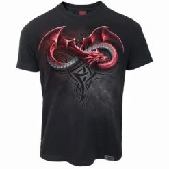 Spiral INFINITY DRAGONS - Organic T-Shirt